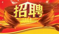 黃麗家政公司招聘